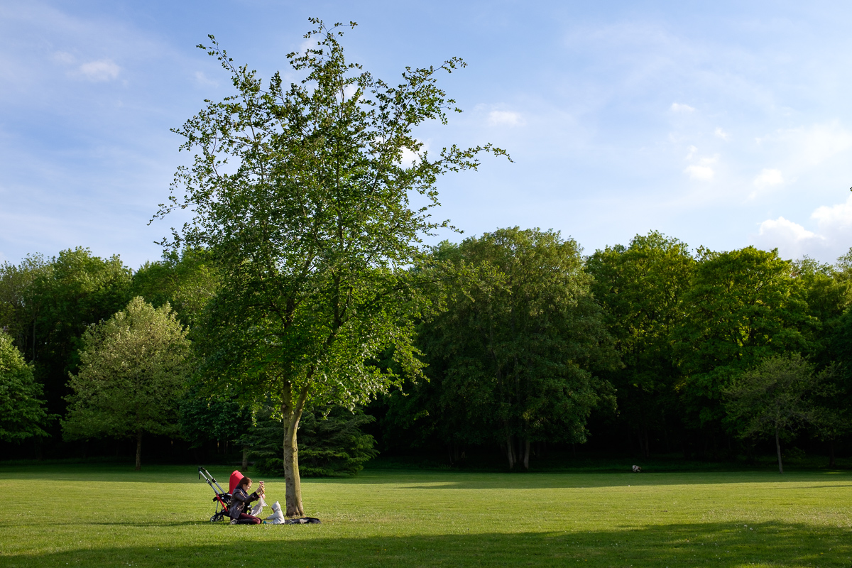 Test_Bugaboo_Bee3_11